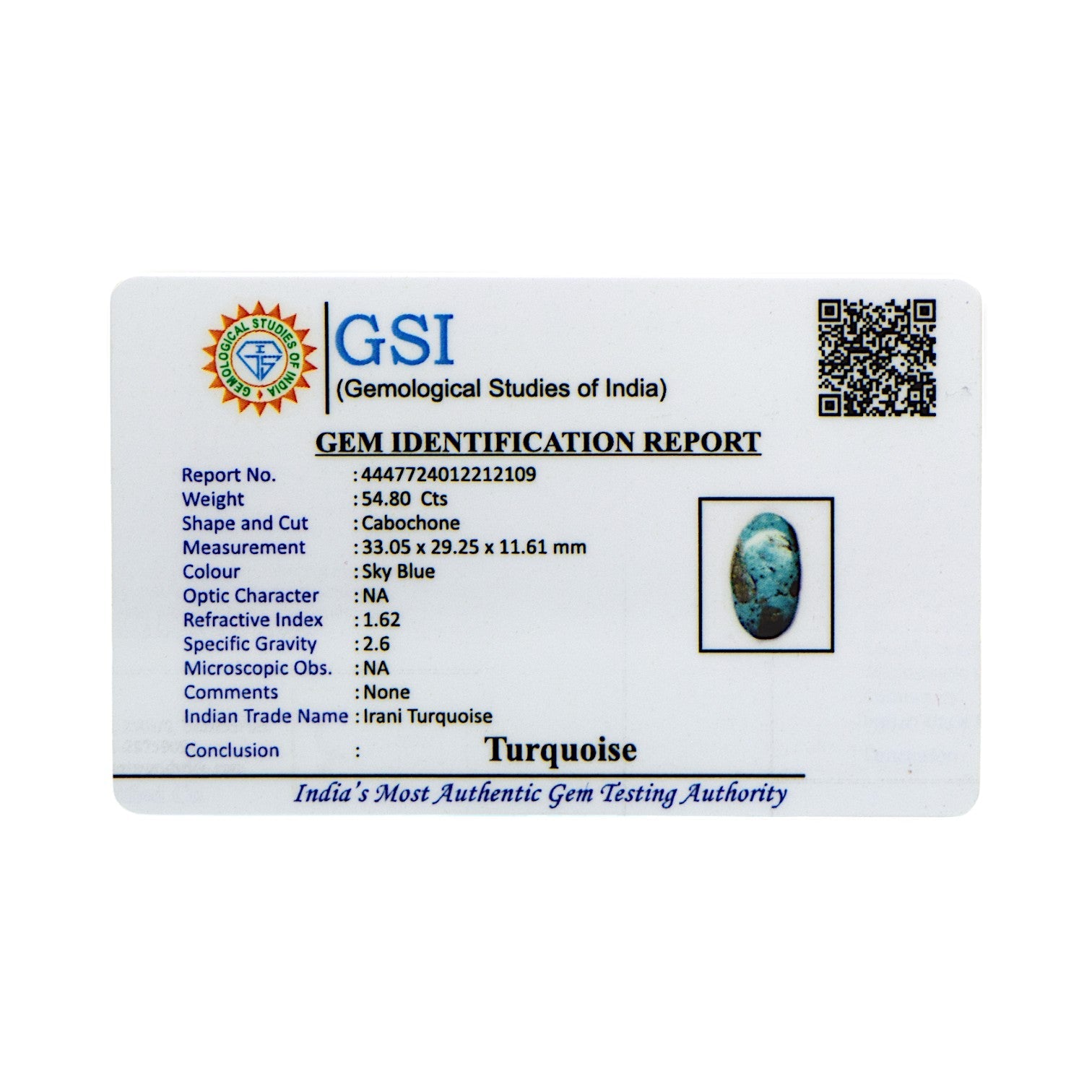 Irani Turquoise - 54.8 Carat / A-Quality