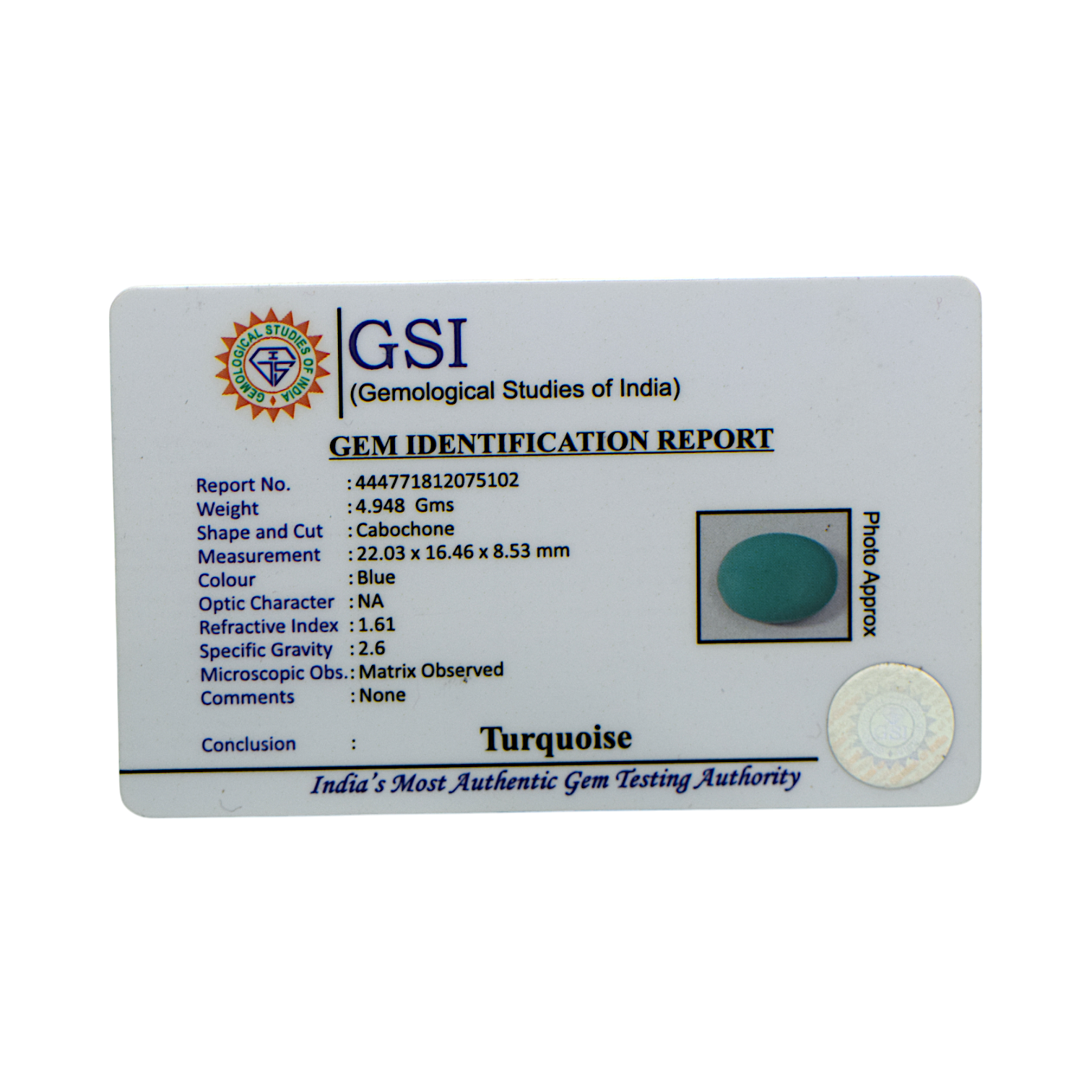 Irani Turquoise - 24.74 Carat / AA-Quality