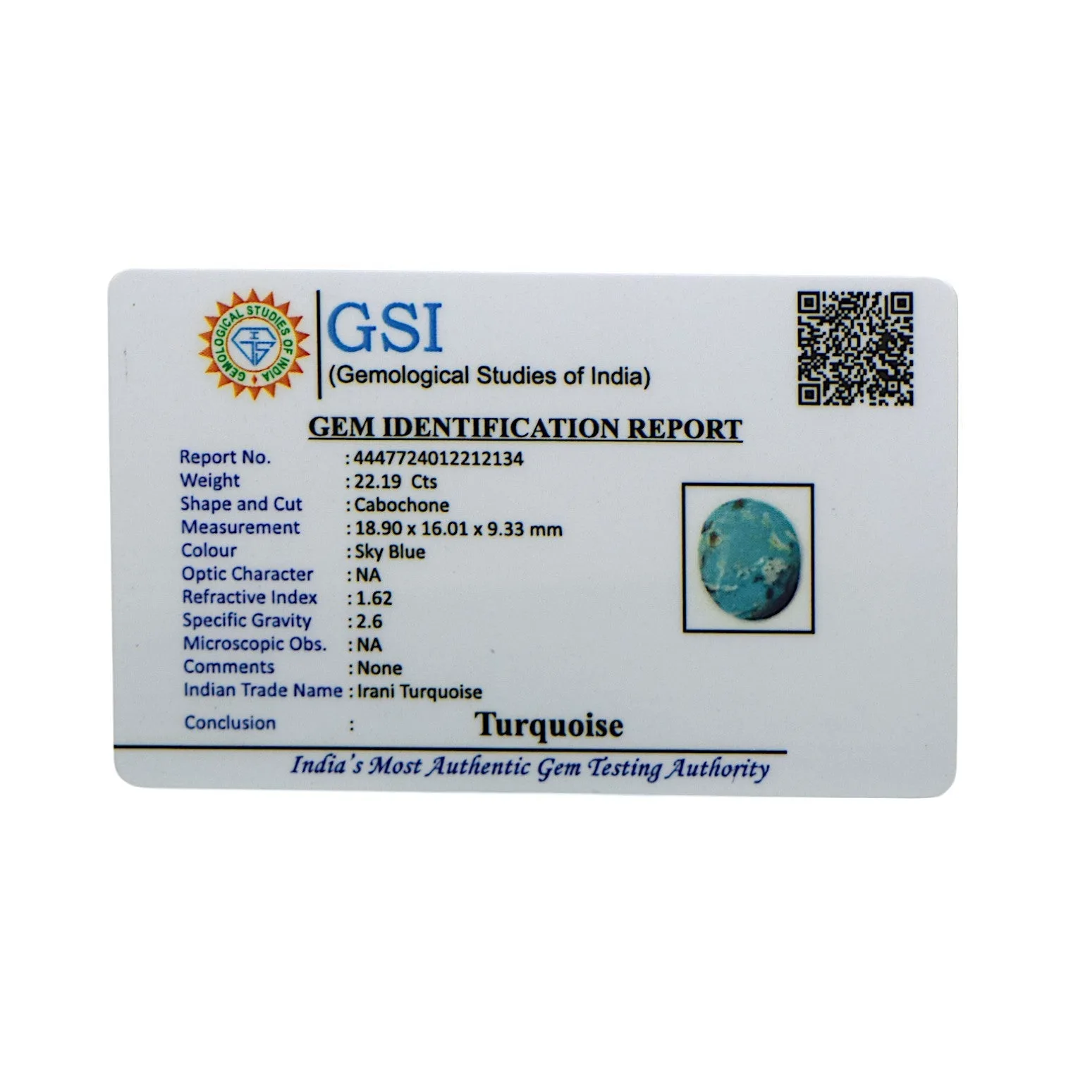 Irani Turquoise - 22.19 Carat / A-Quality