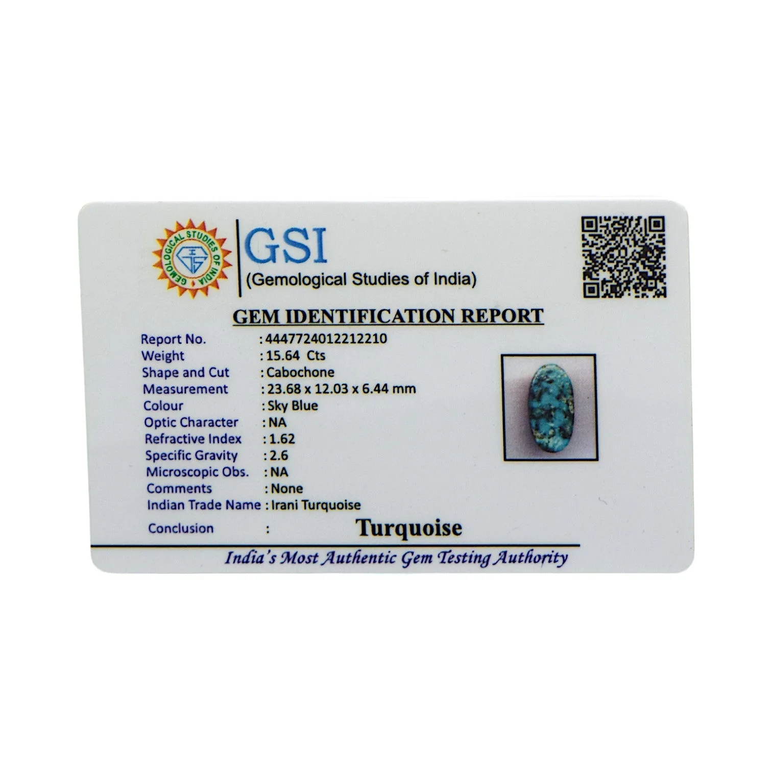 Irani Turquoise - 15.64 Carat / A-Quality