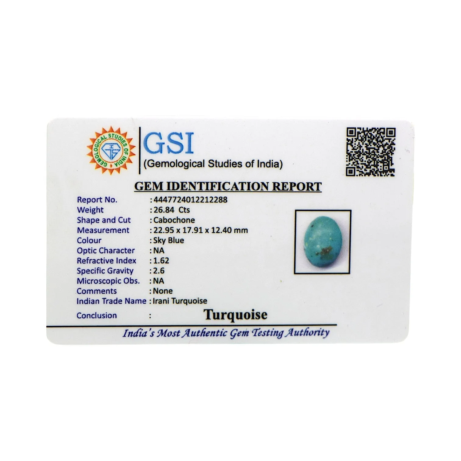 Irani Turquoise - 26.84 Carat / AAA-Quality