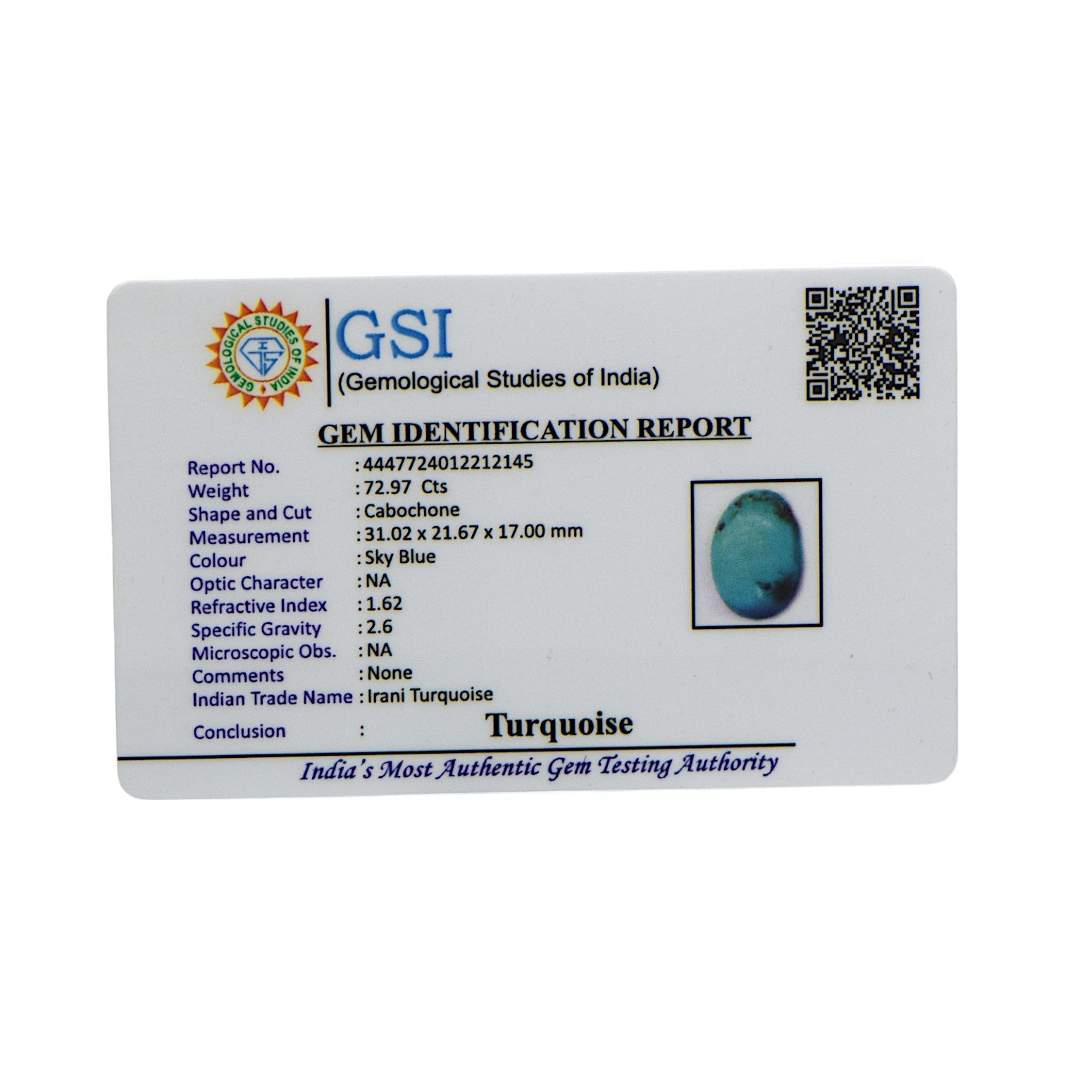 Irani Turquoise - 72.97 Carat / AAA-Quality