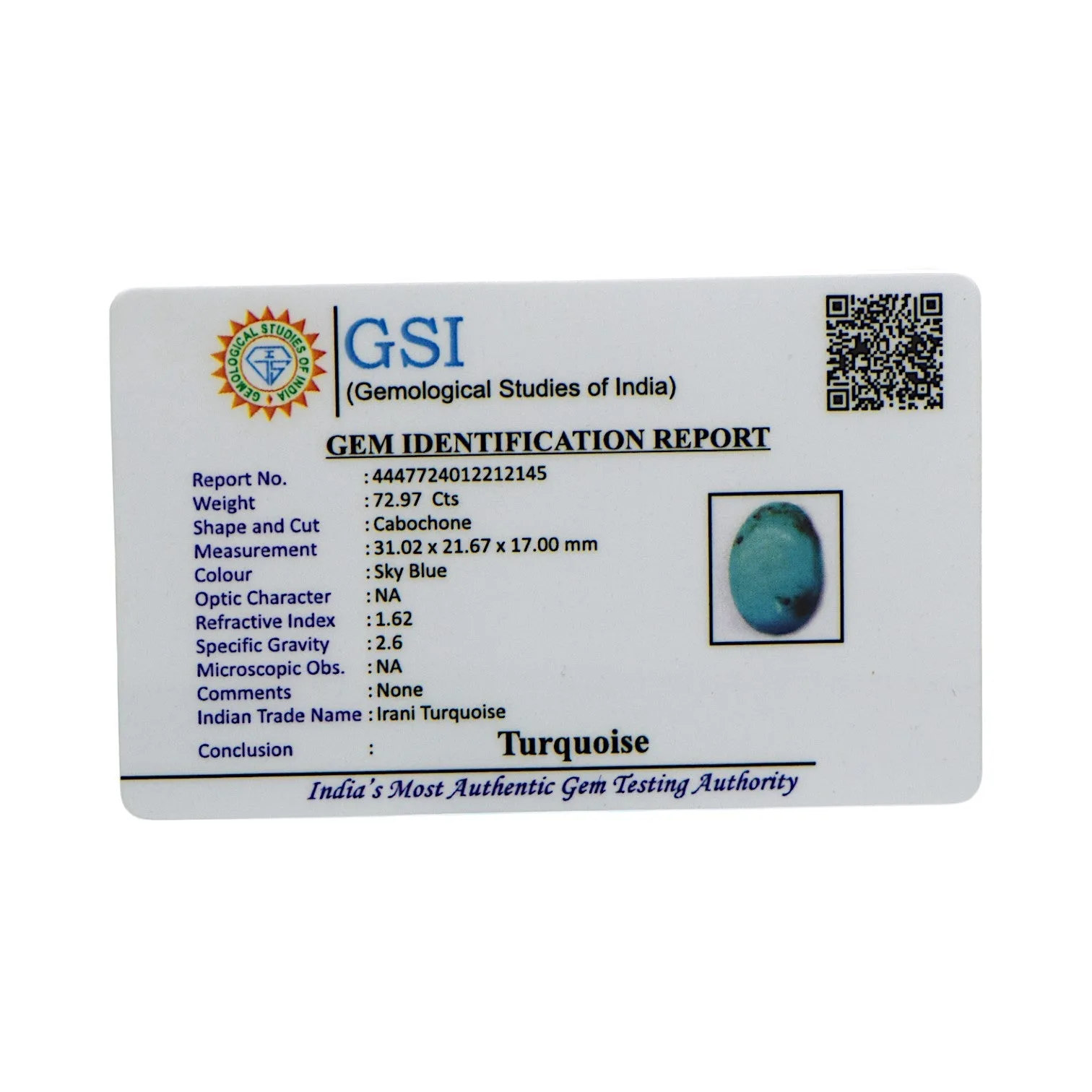 Irani Turquoise - 72.97 Carat / AAA-Quality