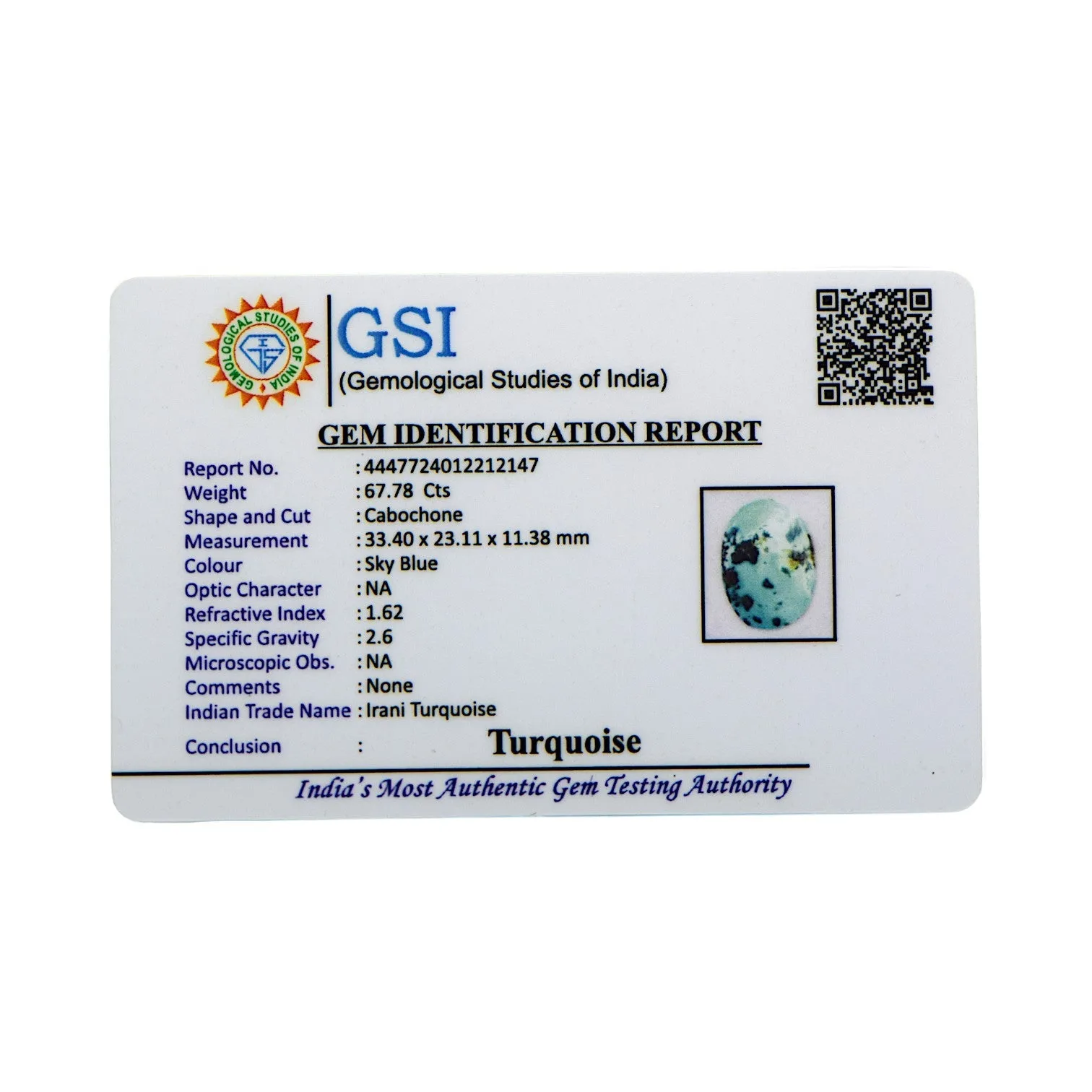 Irani Turquoise - 67.78 Carat / AAA-Quality