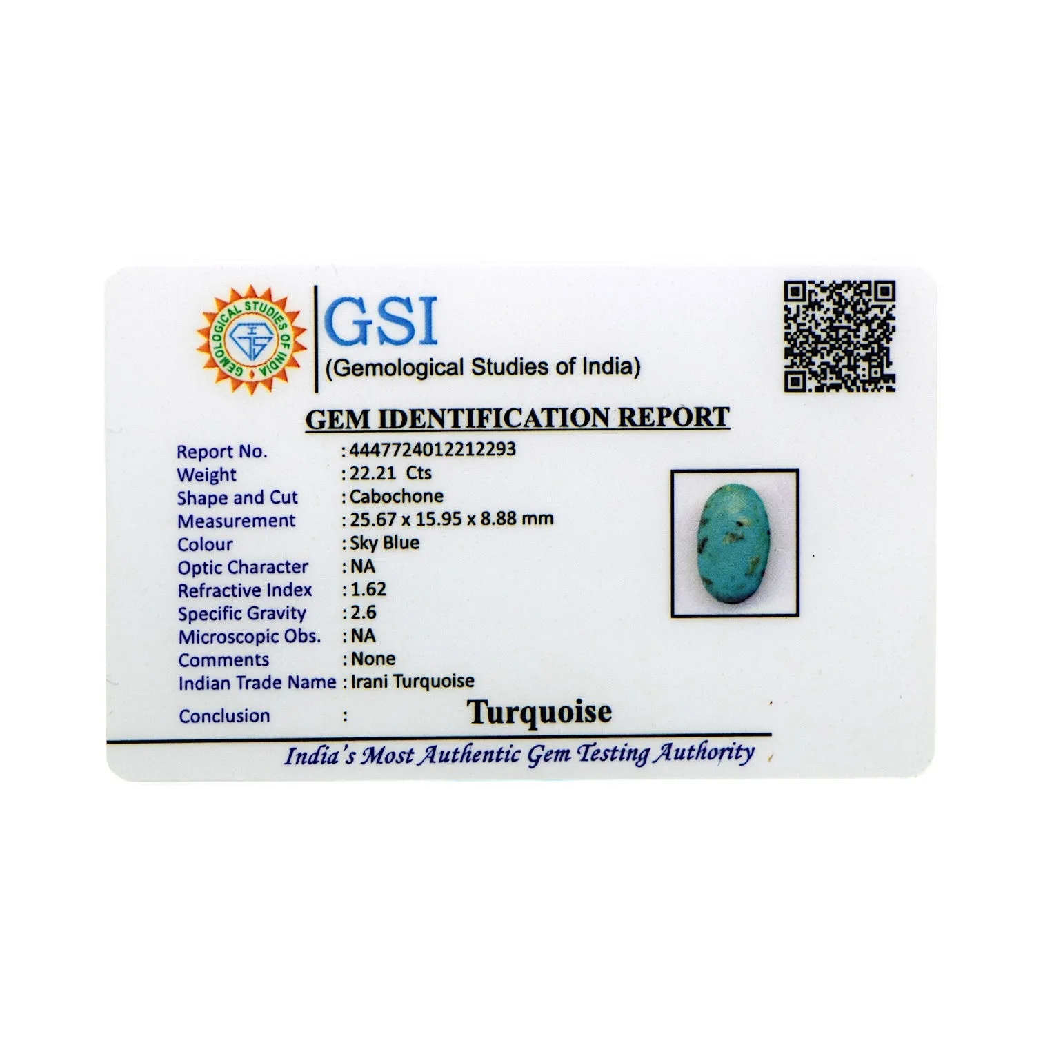 Irani Turquoise - 22.21 Carat / AAA-Quality