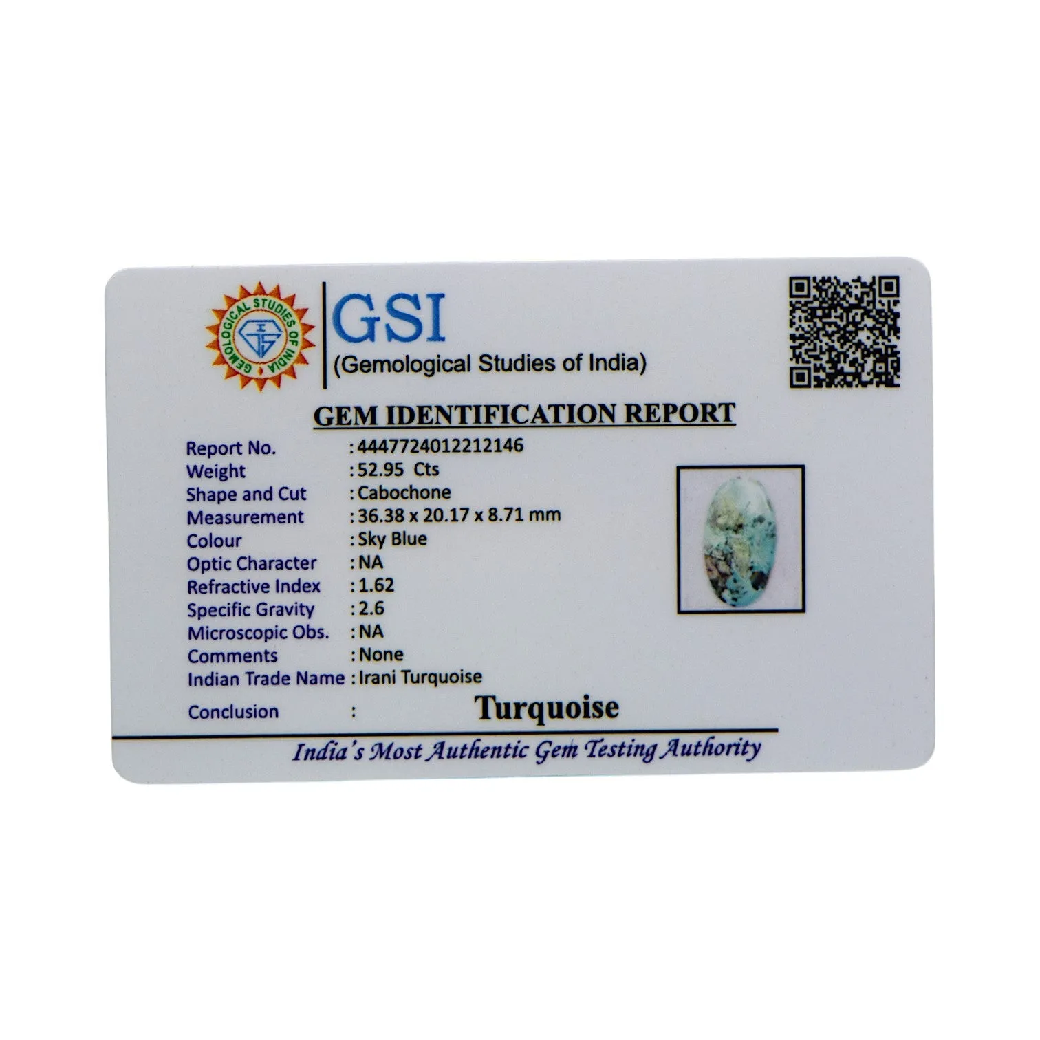 Irani Turquoise - 52.95 Carat / Super-Quality