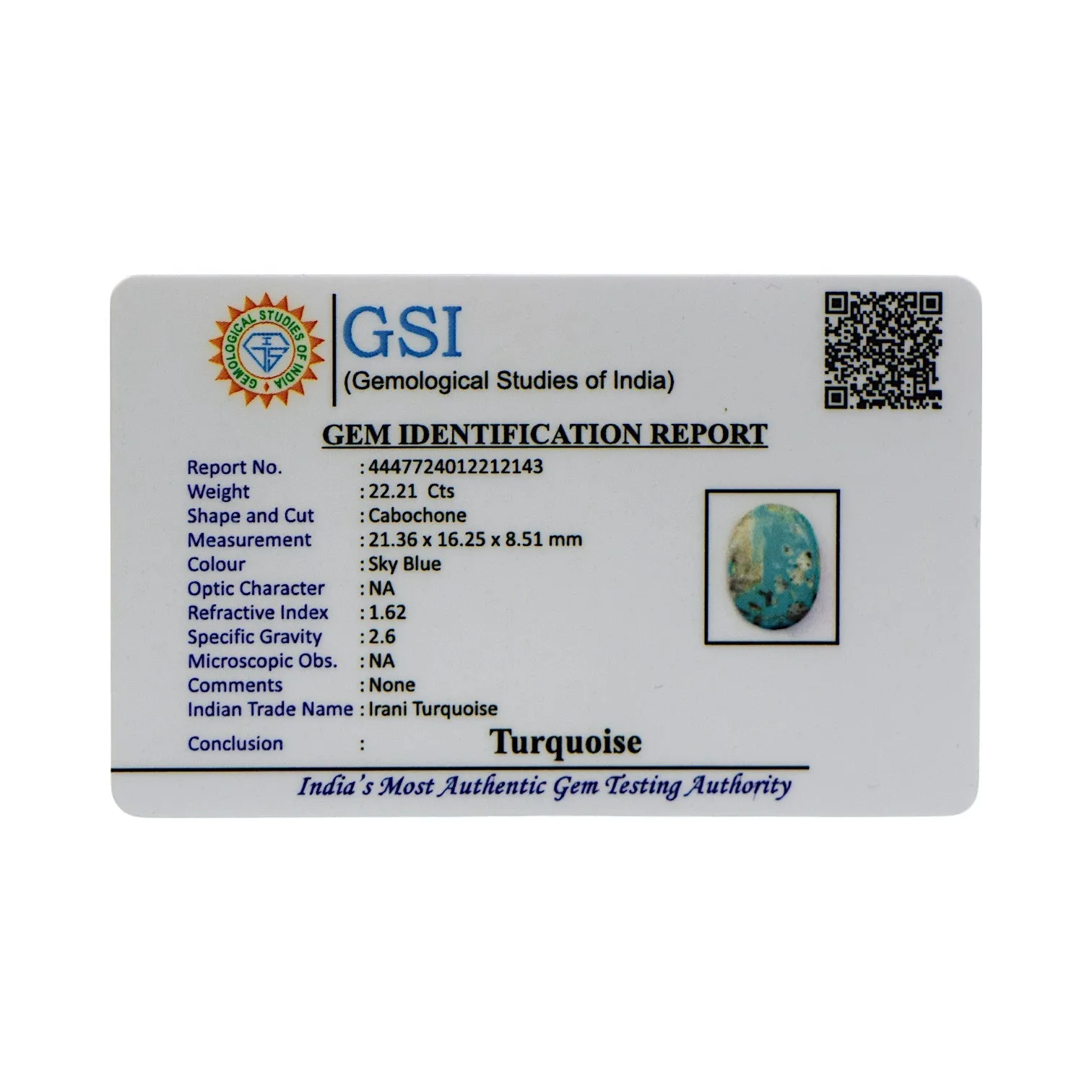 Irani Turquoise - 22.21 Carat / AA-Quality
