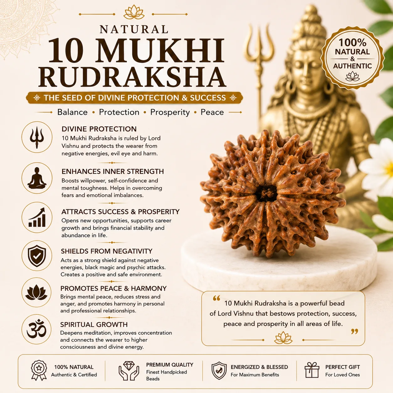 Natural 10 Mukhi Rudraksha Bead