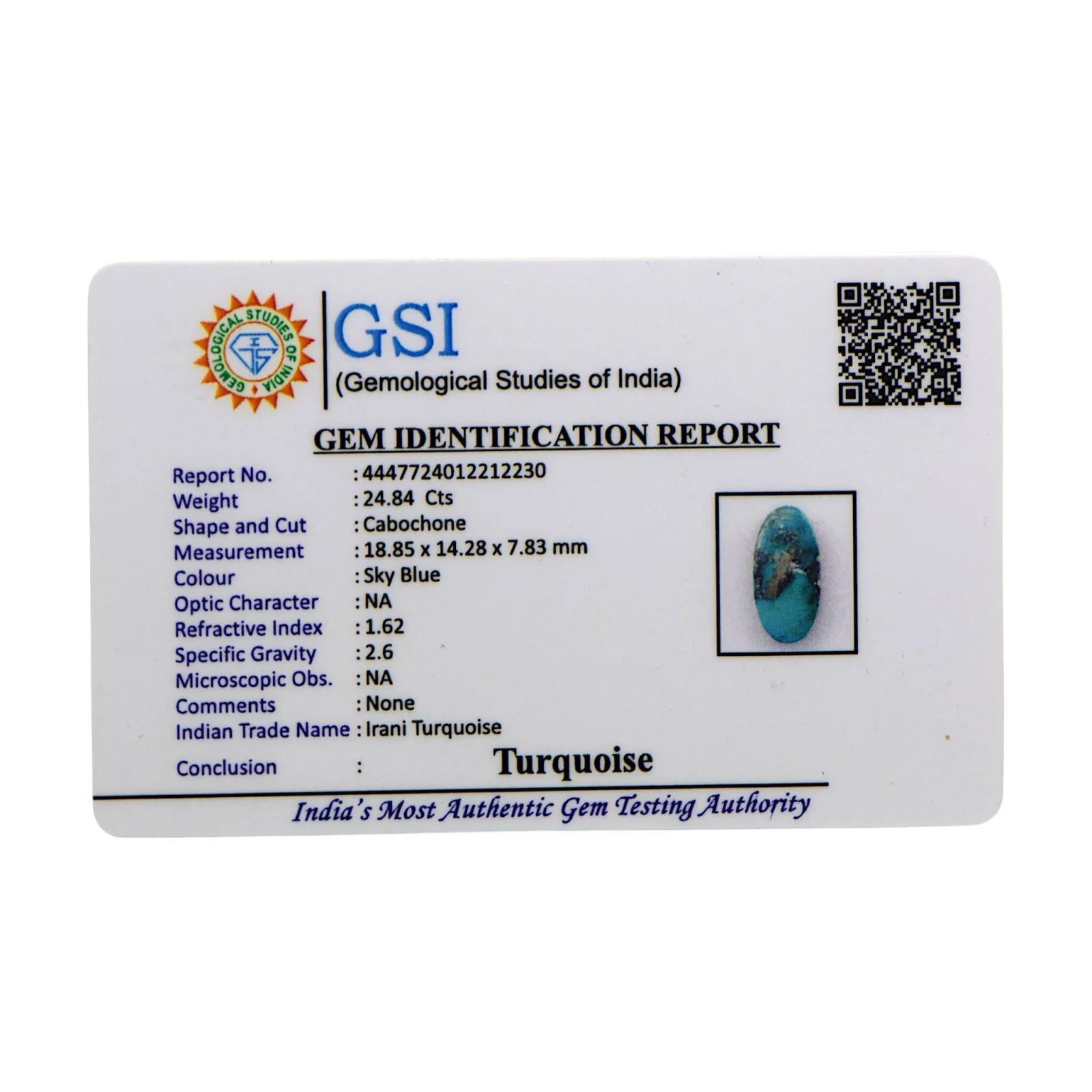 Irani Turquoise - 24.84 Carat / AA-Quality