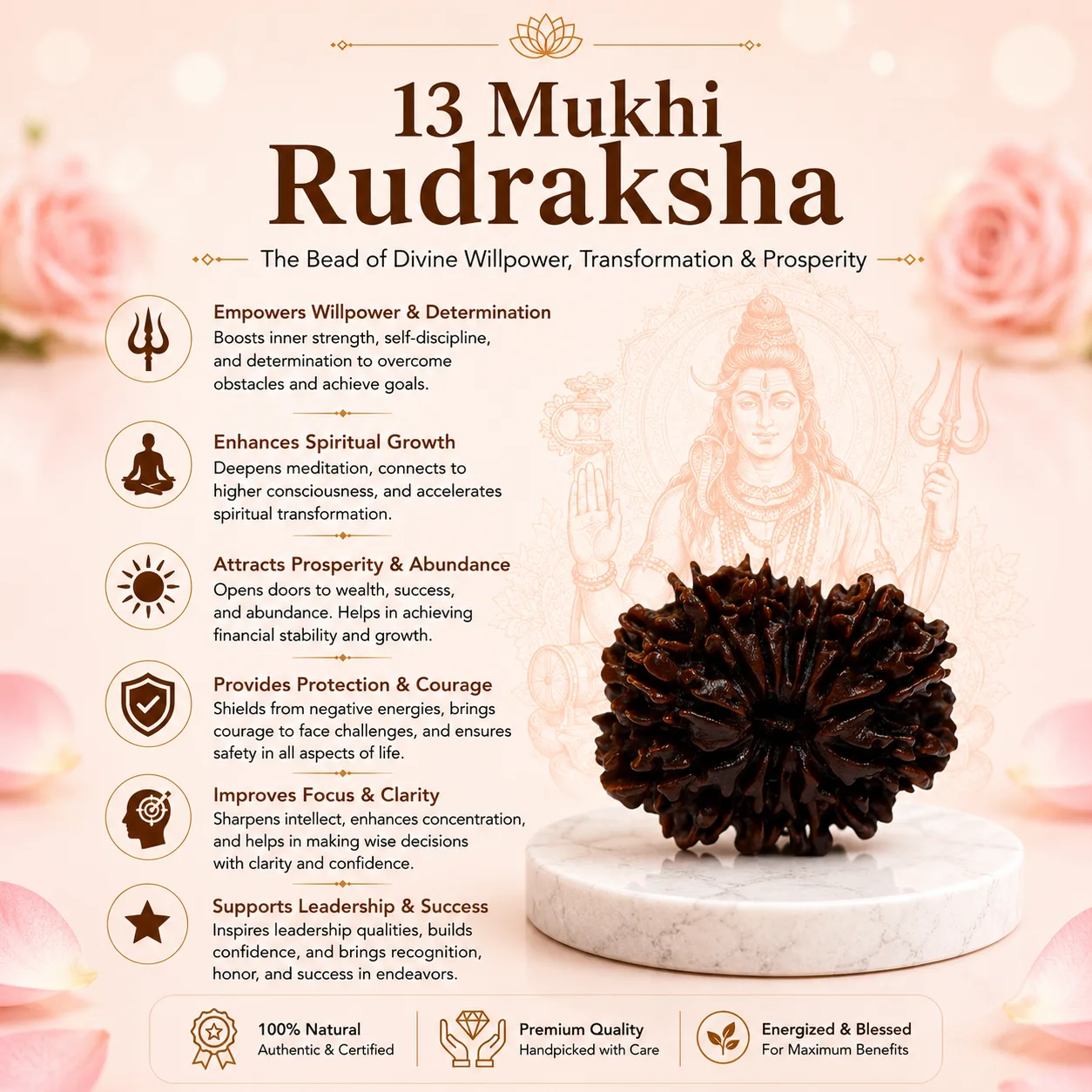 Natural 13 Mukhi Rudraksha Bead