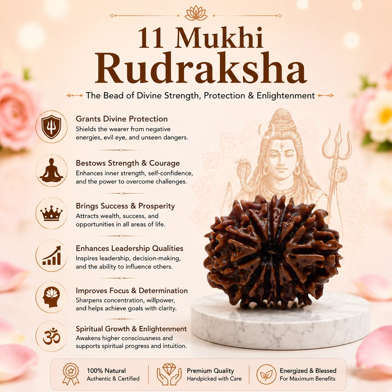 Natural 11 Mukhi Rudraksha Beads