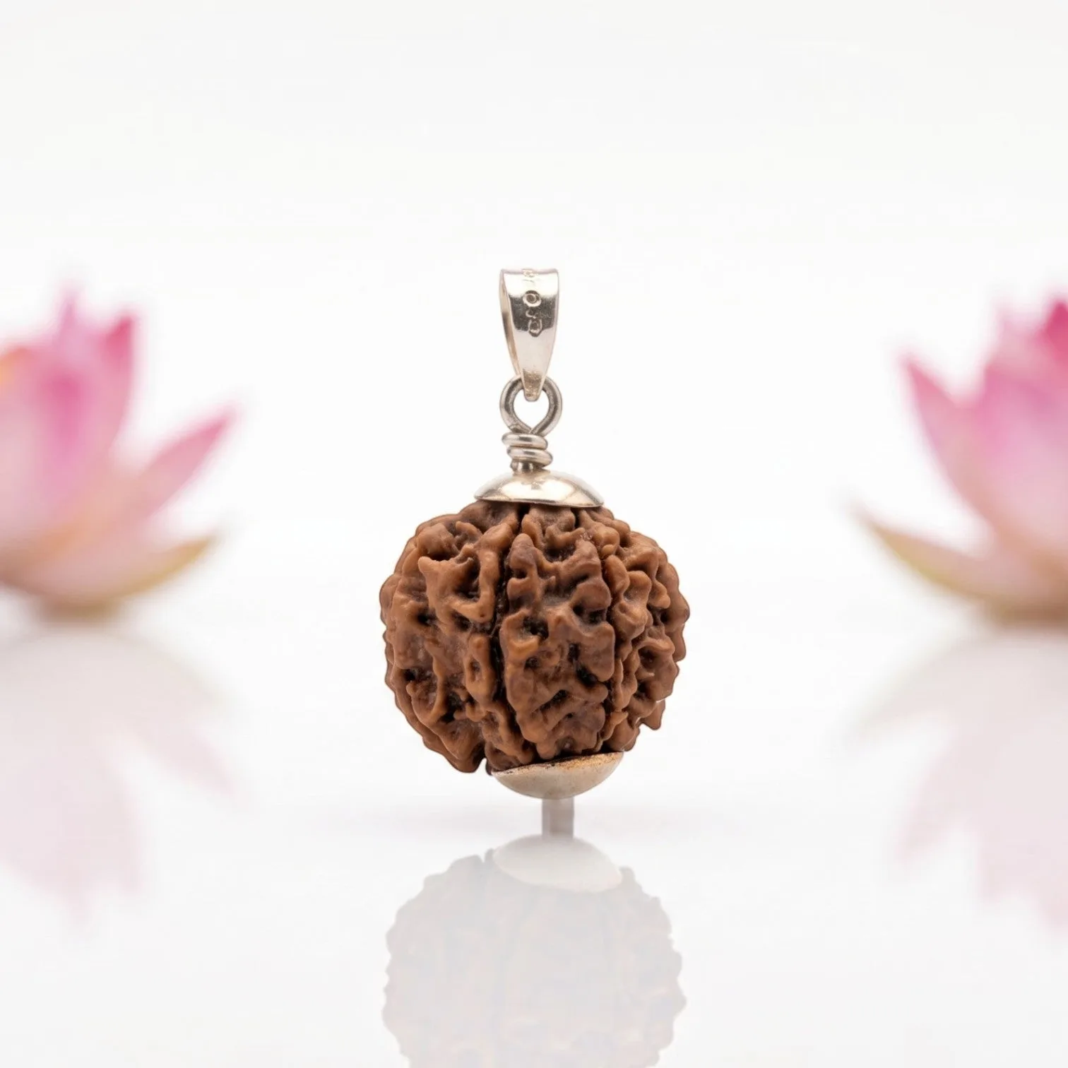 Natural 7 Mukhi Rudraksha Pendant – Silver (92.5) – Available in A, AA & AAA Quality