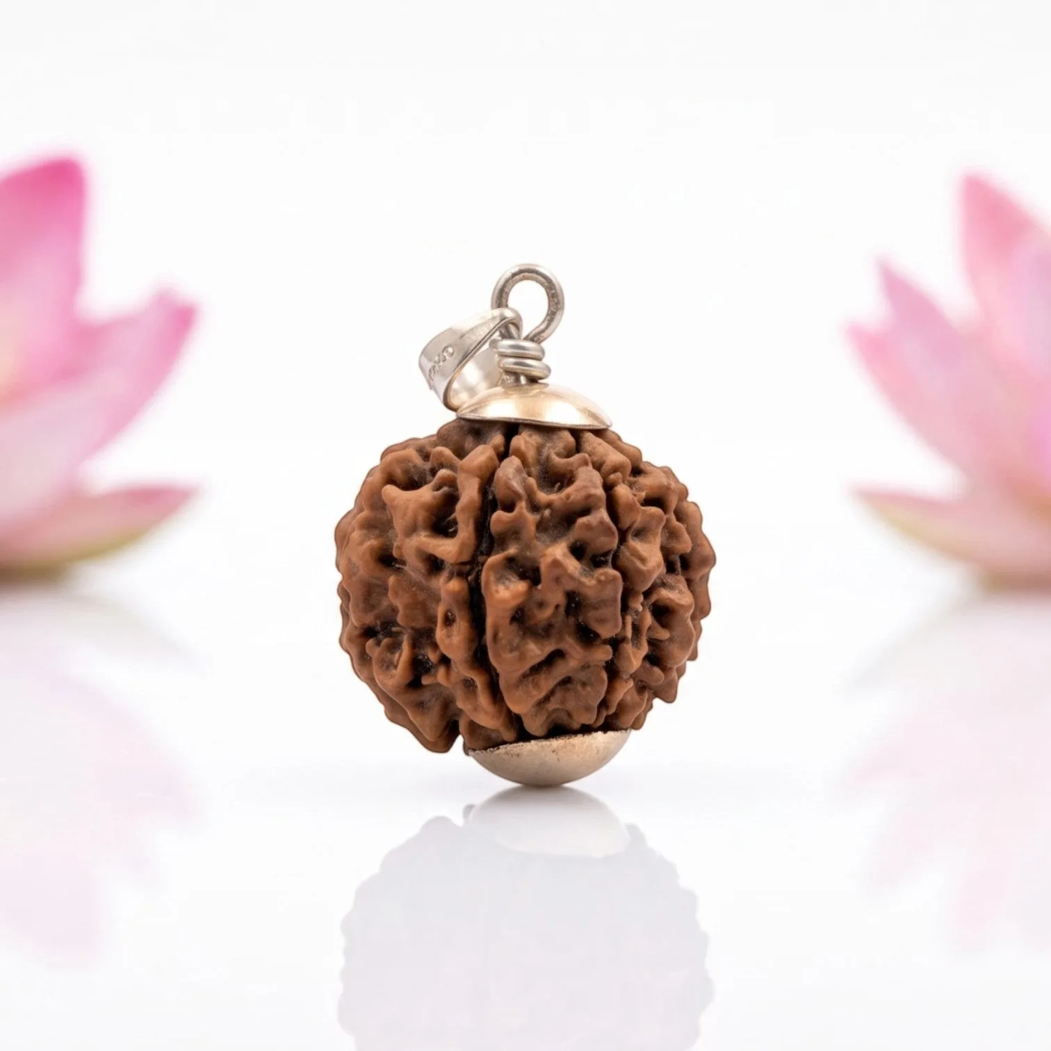 Natural 5 Mukhi Rudraksha Pendant – Silver (92.5)